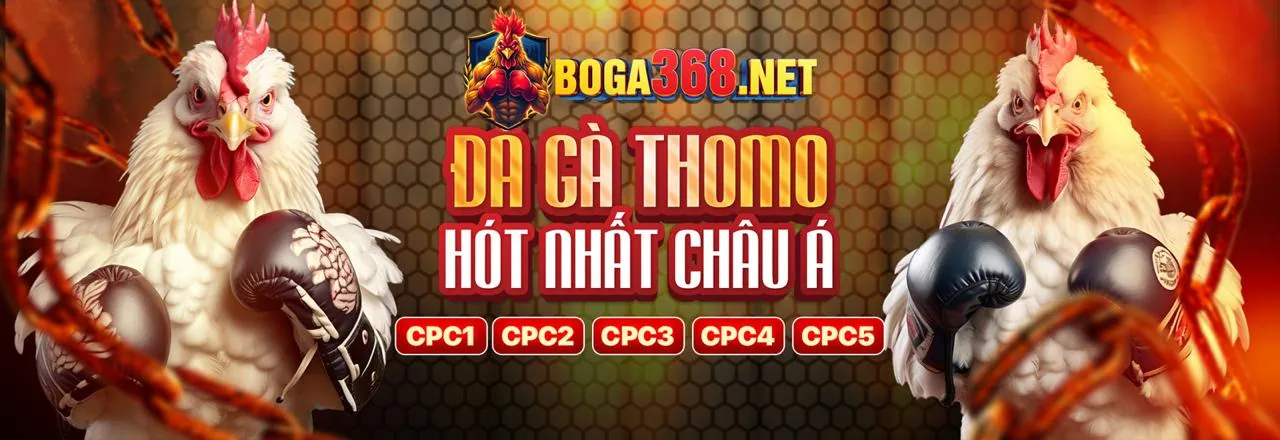 Tổng quan các cấp độ VIP e28bet link vào